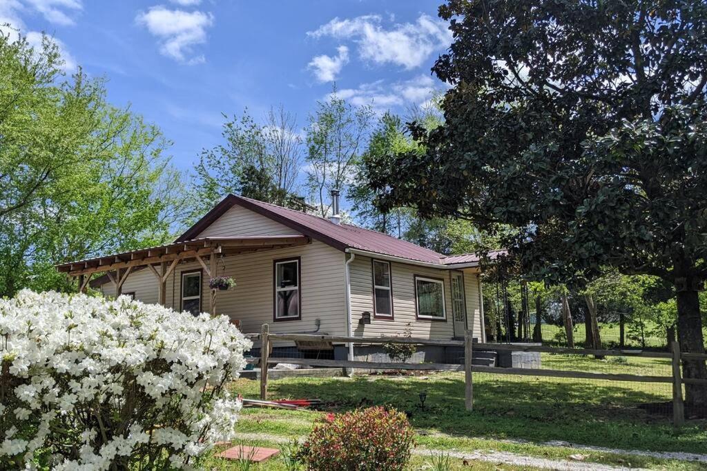 Cozy Home With Big Yard - Full Kitchen-More Than A Hotel Stay! Lyles Exterior photo